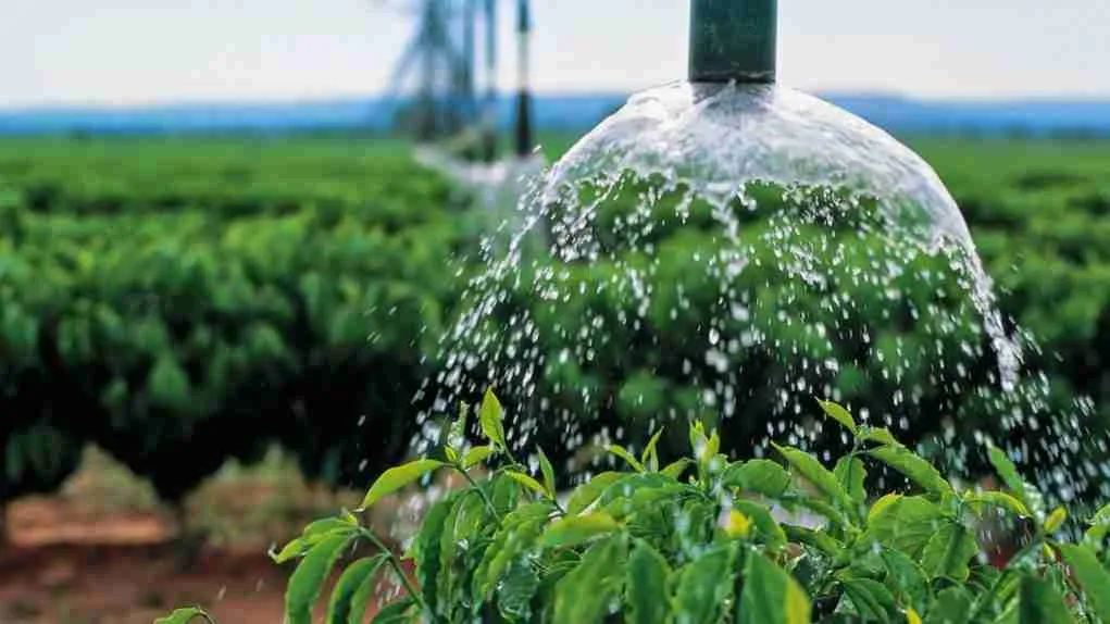 Read more about the article Você sabia que a Meta realiza projetos de irrigação?
